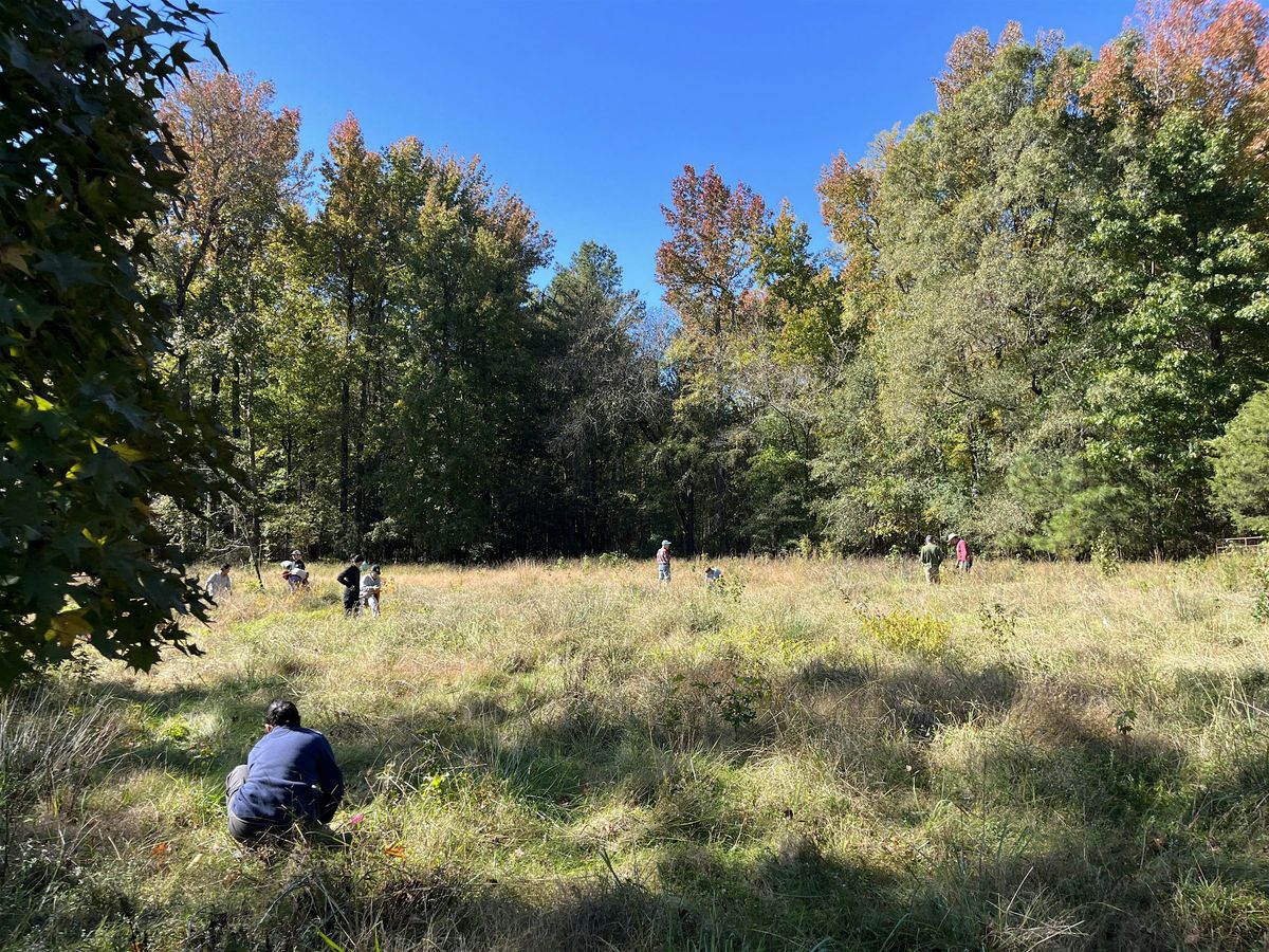 Tree Planting at the Confluence Natural Area, 28 October | Event in Hillsborough | AllEvents