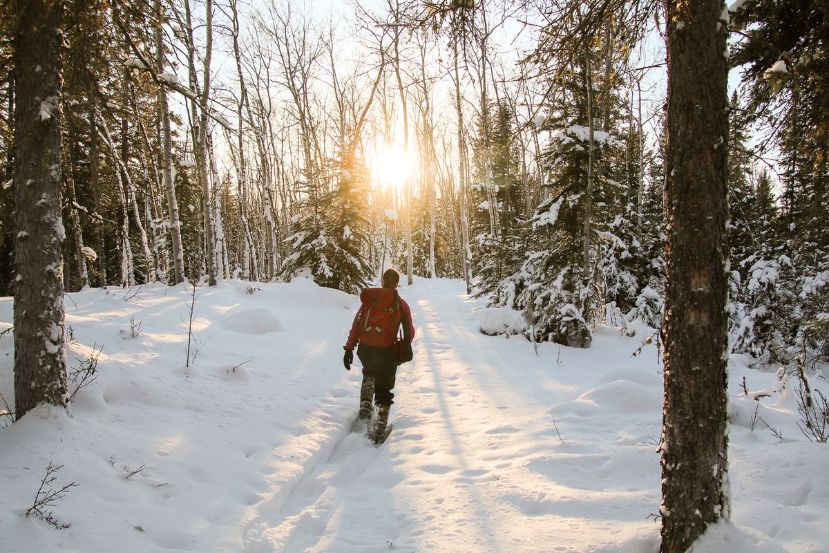 Parking Into the Woods - Buffalo, 23 April | Event in Buffalo | AllEvents