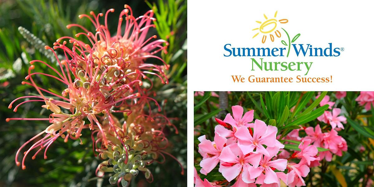 Low-Water Gardening Made Easy - Cupertino, 8 June | Event in Cupertino | AllEvents