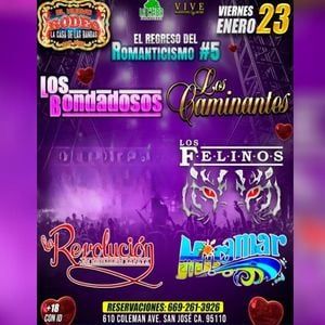 LOS BANDADOSOS , LOS CAMINANTES & MAS