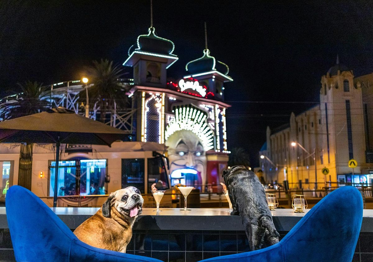St Kilda Puppy Pub Crawl - Summer series, 23 November | Event in St Kilda | AllEvents