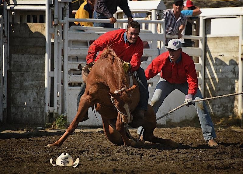 2025 Calgary First Responders Rodeo, 16 August | Event in Cochrane | AllEvents
