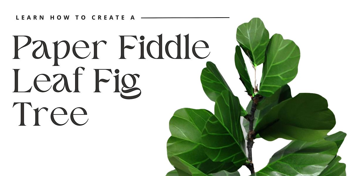 Learn to Create a Paper Fiddle Leaf Fig, 31 August | Event in Columbus | AllEvents