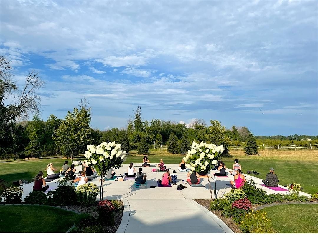 Cider Yoga at Pomona of Blue Barn Cidery, 4 June | Event in Hilton | AllEvents