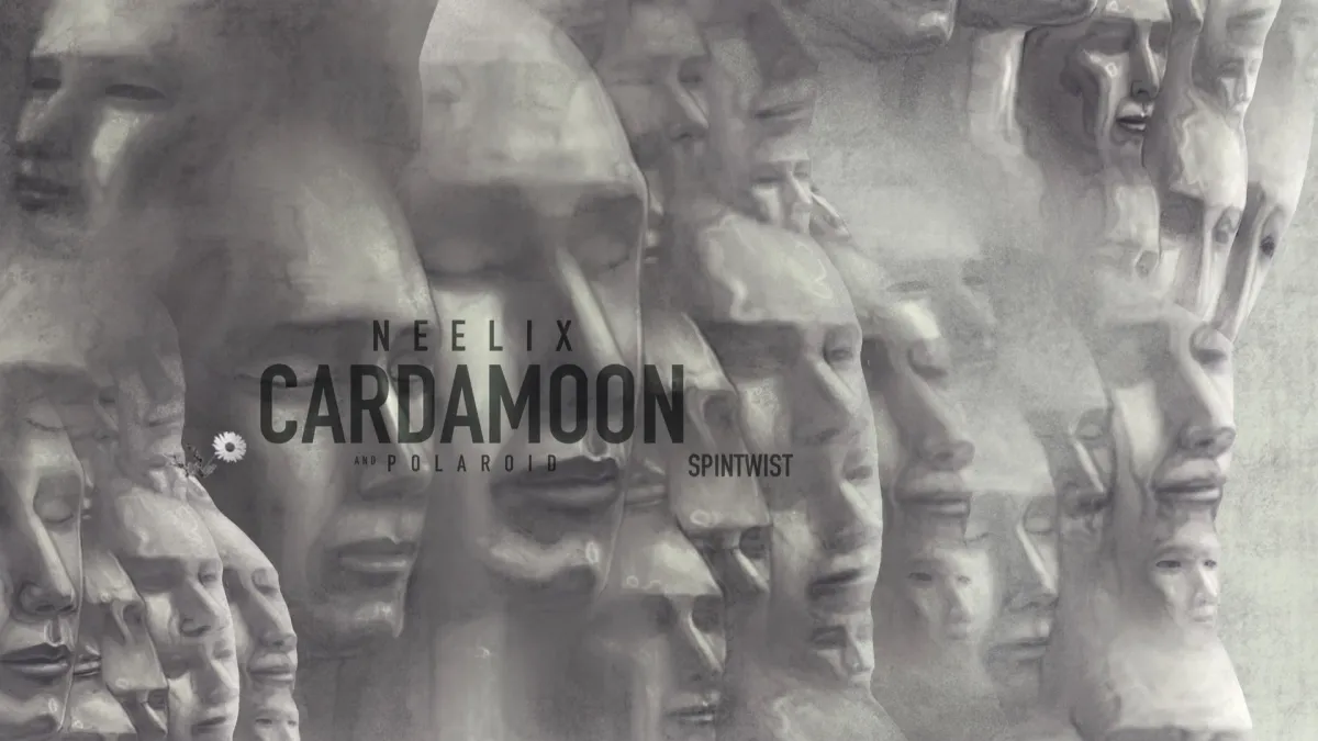 Neelix in Zandvoort, 26 June | Event in Heemstede | AllEvents