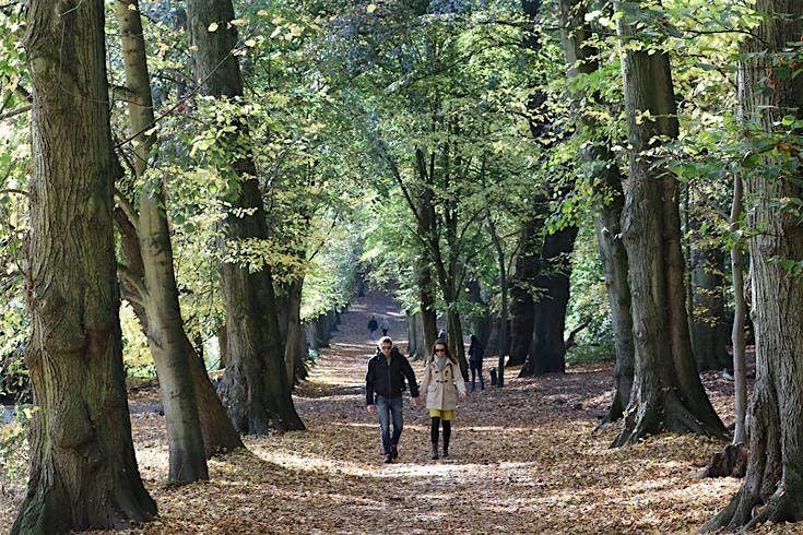 Exploring Hampstead Heath, 28 June | Event in London | AllEvents