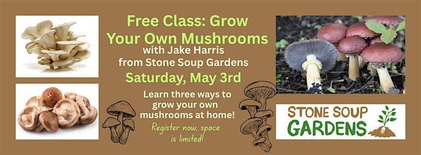 Free Class: Grow Your Own Mushrooms | Event in Burien | AllEvents