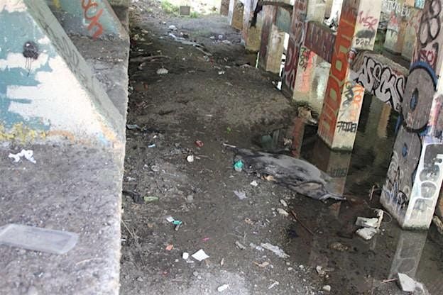 Mid-Week Cleanup Event on Los Gatos Creek at San Fernando VTA Bridge, 16 July | Event in San Jose | AllEvents