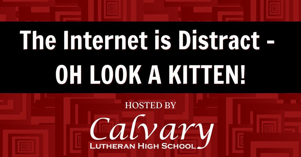 The is DistractOH LOOK A KITTEN, Calvary Lutheran High
