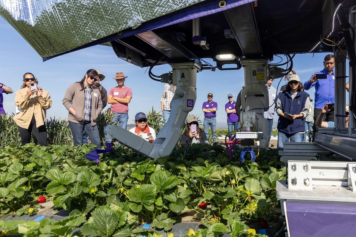 VINE Connect Field Day at UC Merced (Live AgTech Demos), 17 September | Event in Merced | AllEvents