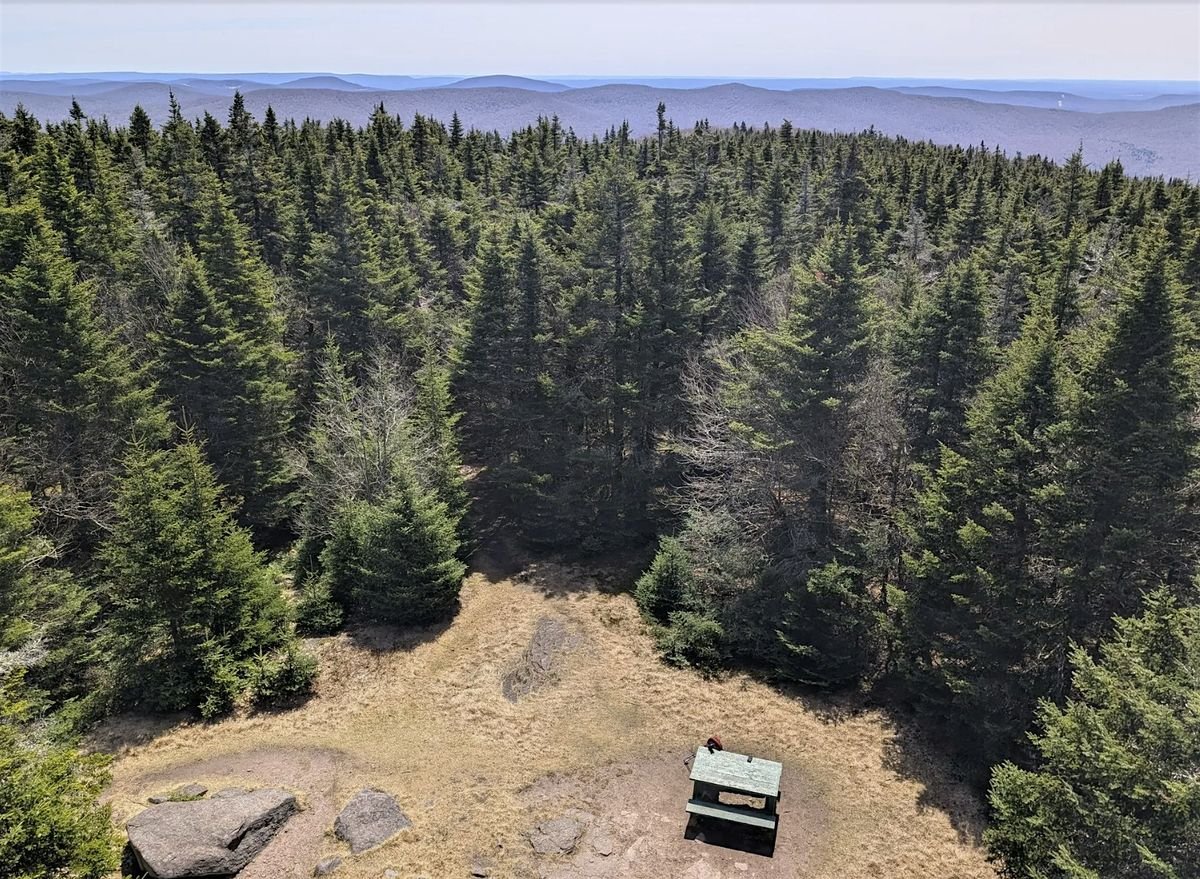 Catskill 3500 Guided Hike - Balsam Lake, 26 July | Event in Livingston Manor | AllEvents