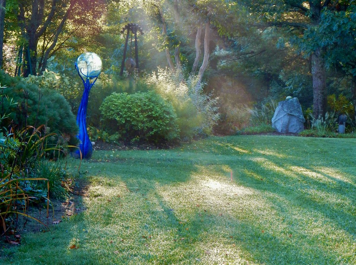 Transitioning to an Organic Garden, 21 August | Event in Lee | AllEvents