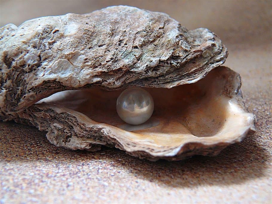 The Pearl Fishers (Les pêcheurs de perles) by Georges Bizet, 22 June | Event in Seattle | AllEvents