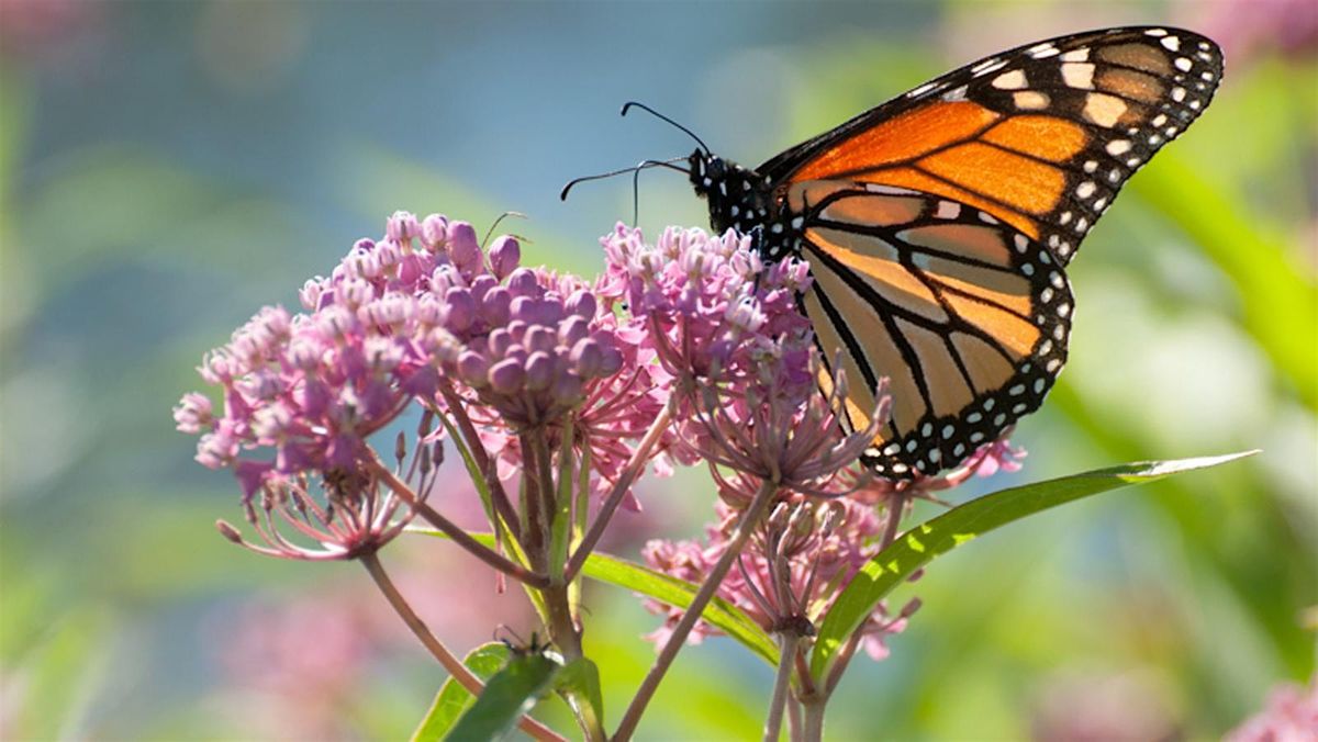 Wheat Ridge Garden Tour - 2025, 12 July | Event in Wheat Ridge | AllEvents