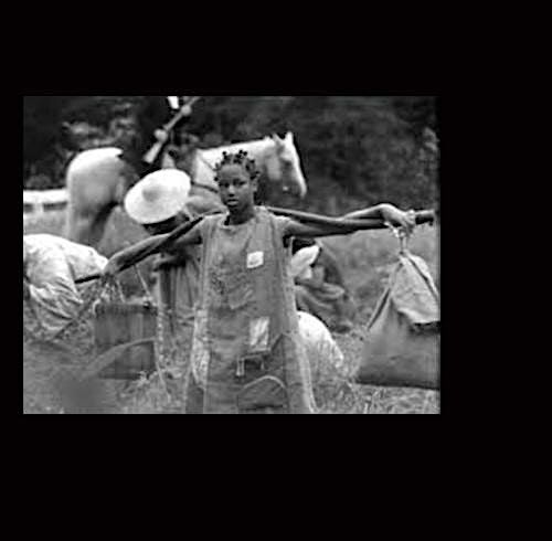 Black Film: Unscreened & Unstreamed, Growing Into Strength, 9 October | Event in Oakland | AllEvents