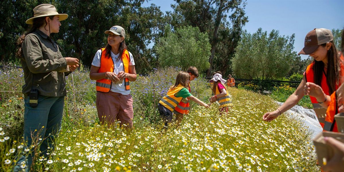 Summer Camp at Apricot Lane Farms, 23 June | Event in Moorpark | AllEvents