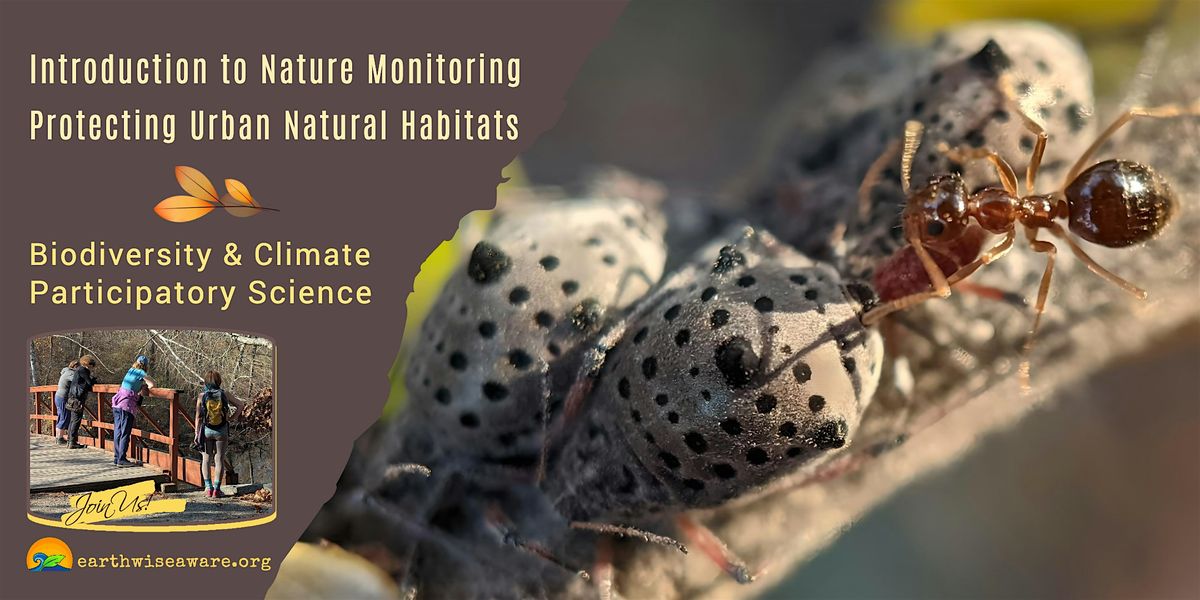 Introduction to Nature Monitoring in the City, 8 November | Event in Somerville | AllEvents