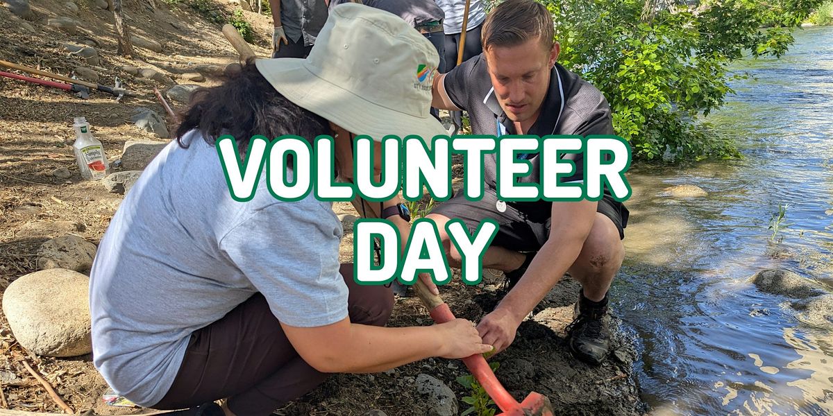 Tree Planting Days & Weekday Volunteer Opportunities, 8 November | Event in Reno | AllEvents