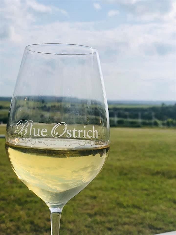 Wine Tasting and Pairing with Blue Ostrich Winery, 31 July | Event in Mason | AllEvents