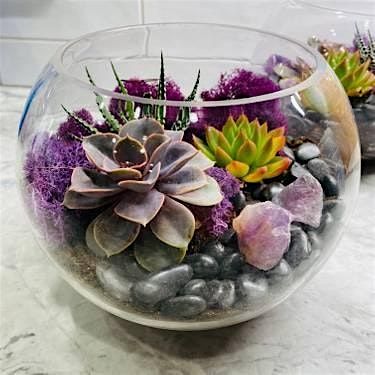 Plant Nite: Make a Succulent Terrarium, 30 April | Event in Holbrook | AllEvents