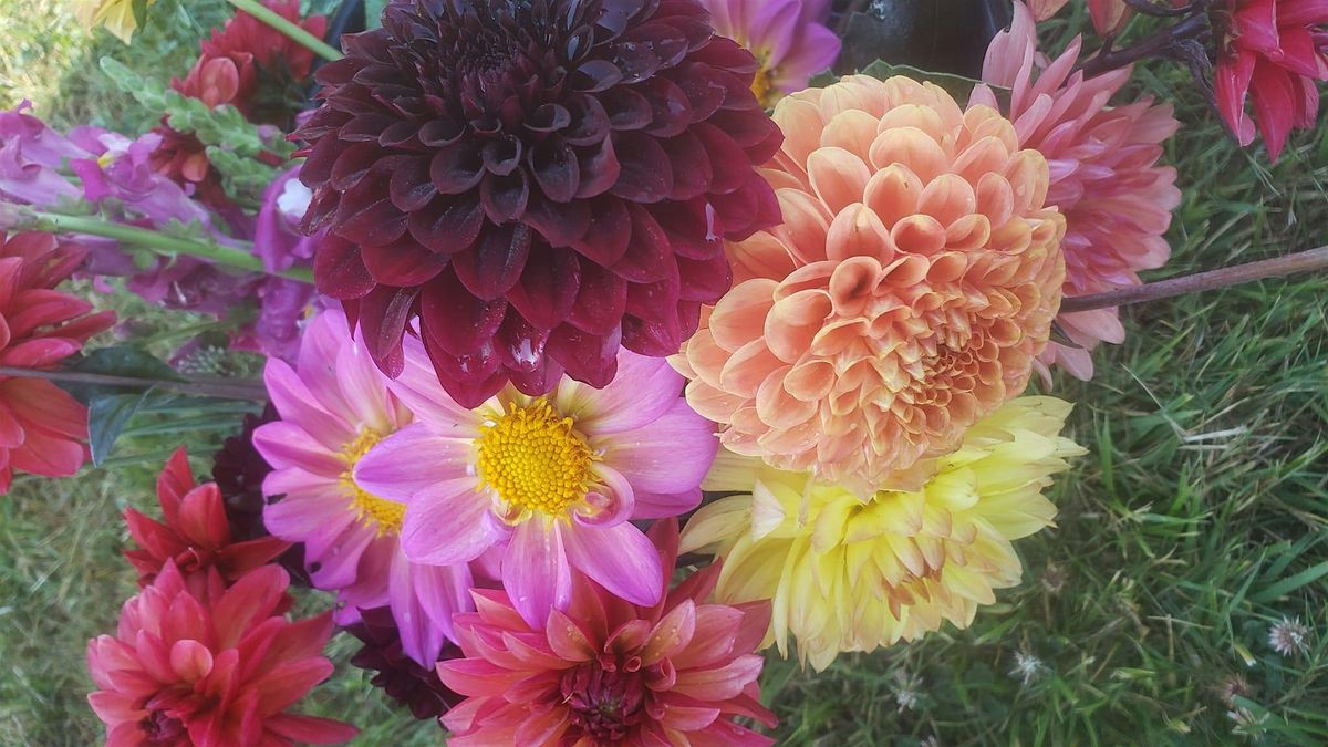 Dahlia Arrangement Workshop, 30 August | Event in Amity | AllEvents