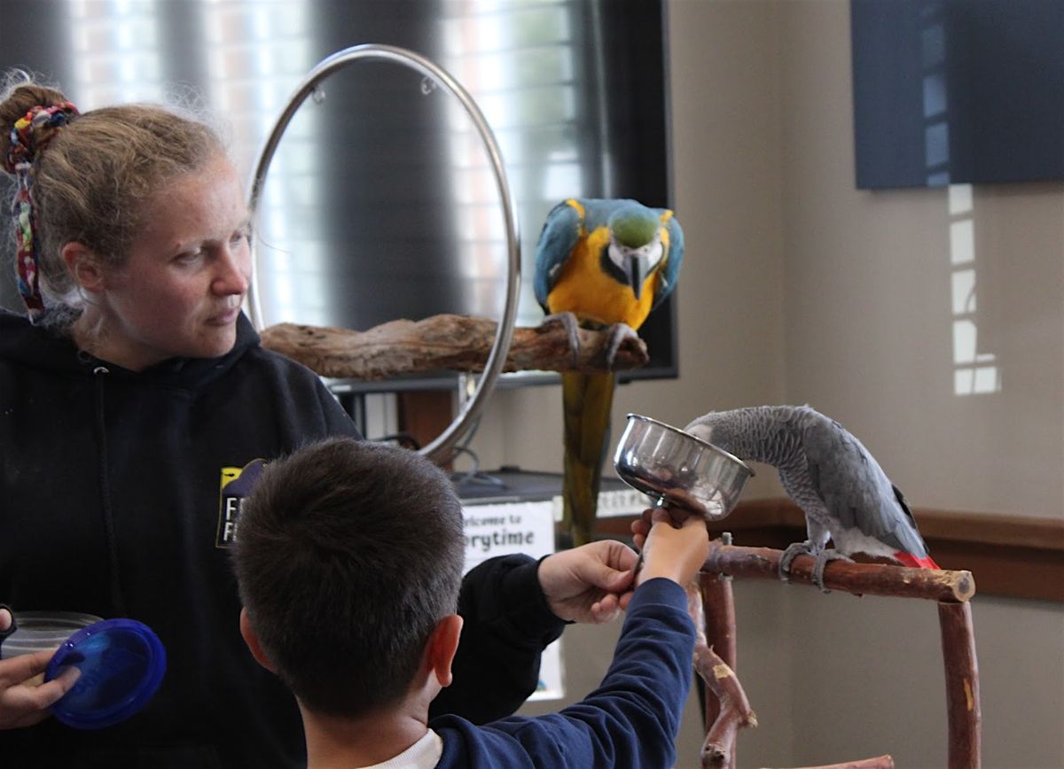 Creekside Critters with Free Flight, 6 December | Event in Del Mar | AllEvents