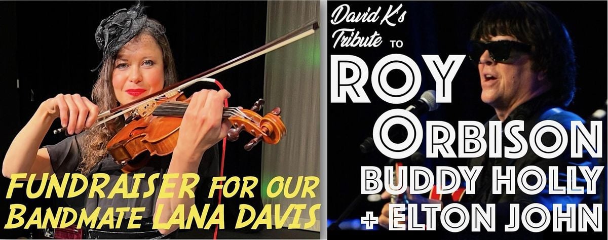 A Tribute Fundraiser with David K for band mate Lana Davis., 14 September | Event in Minneapolis | AllEvents