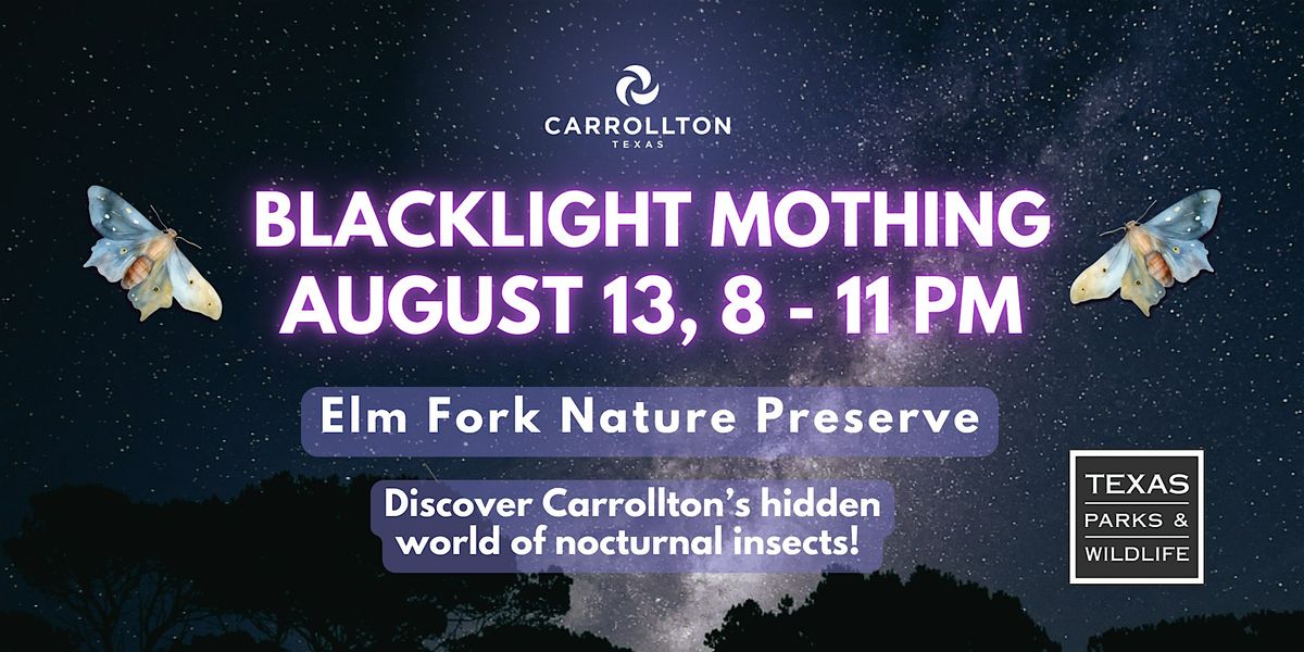 Blacklight Mothing @ Elm Fork Nature Preserve Carrollton, 13 August | Event in Carrollton | AllEvents