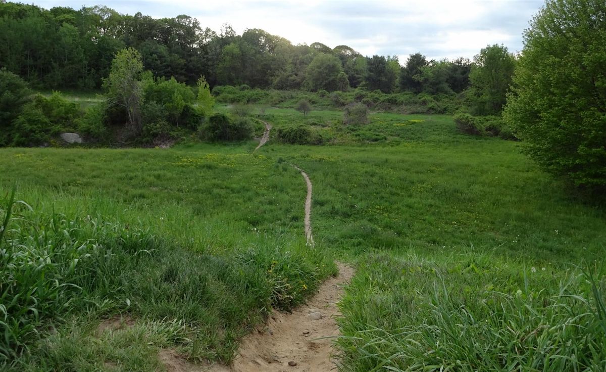 Blackstone Valley NEMBA - Callahan Strong Novice Group Ride | Event in Framingham | AllEvents