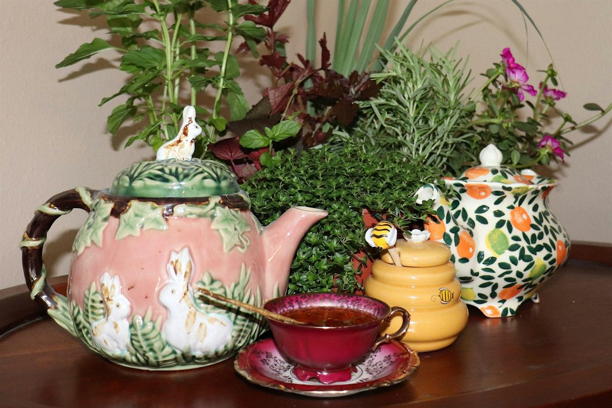 12-15-2025  Let's Talk About Tea, 15 December | Event in Saint Leo | AllEvents