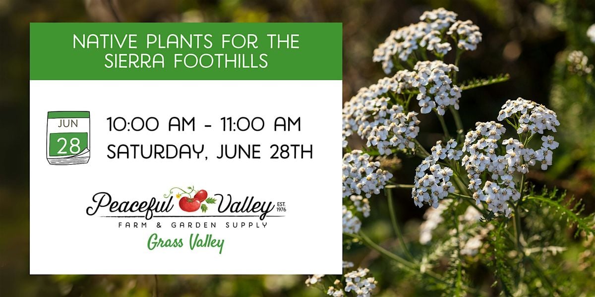 Native Plants for the Sierra Foothills, 28 June | Event in Grass Valley | AllEvents