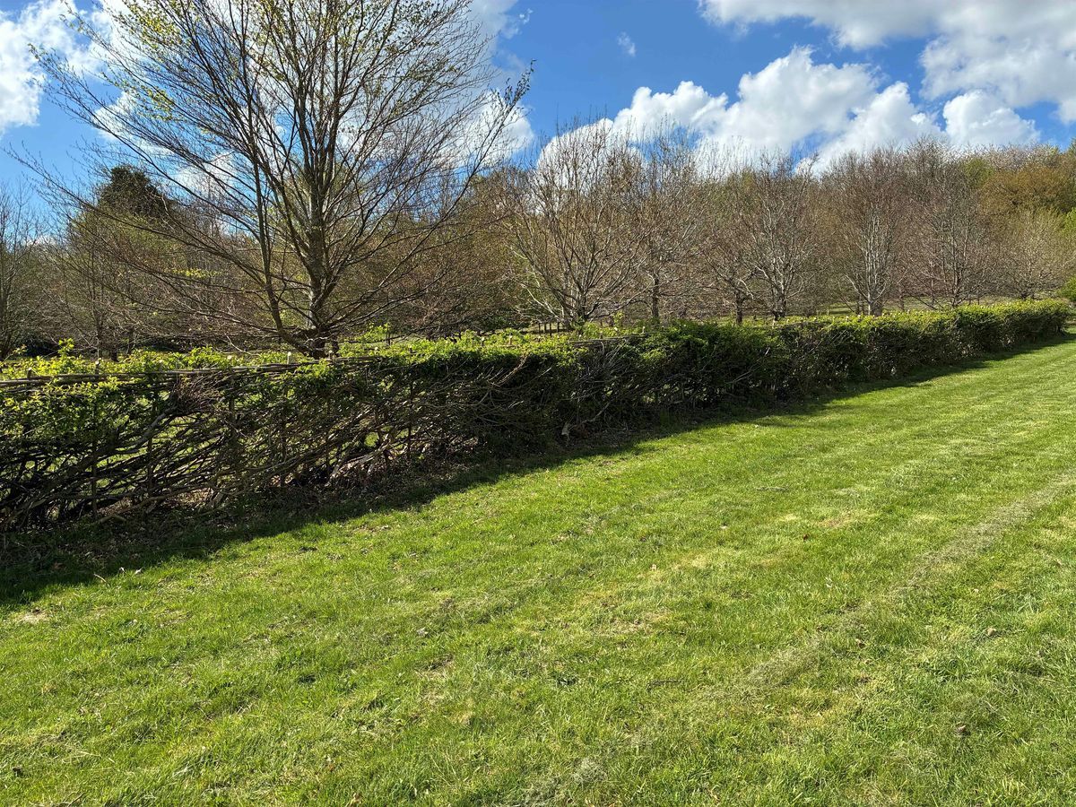 Hedgelaying, a talk by Paul Heath, 10 September | Event in Amersham | AllEvents