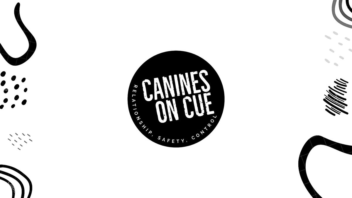 SOCIAL WALKS By Canines On Cue, 26 July | Event in Mudgeeraba | AllEvents