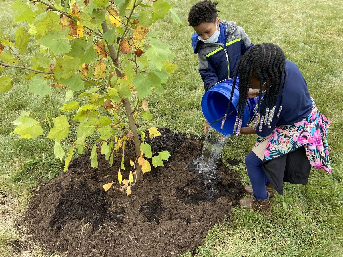 Tree Maintenance Workday at IMD | Event in Chicago | AllEvents