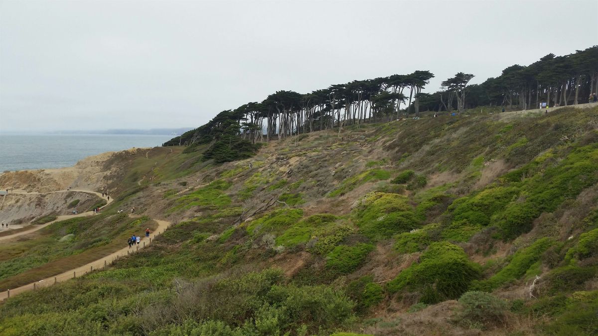 The Rim Run: Sections 5 and 6 of the Roundabout, 18 October | Event in San Francisco | AllEvents