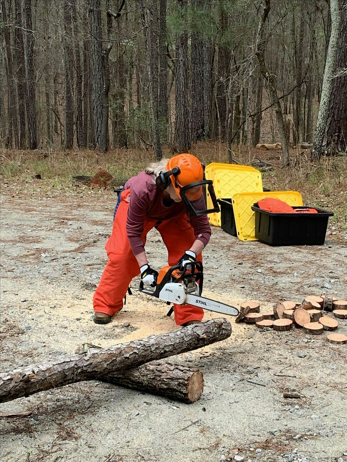 Chainsaw Safety and Handling Workshop, 15 January | Event in Columbia | AllEvents