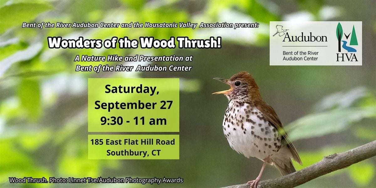 Wonders of the Wood Thrush!, 27 September | Event in Southbury | AllEvents
