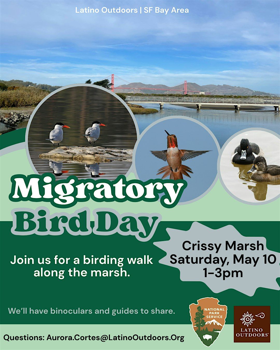 LO SF Bay Area | Migratory Bird Day, 10 May | Event in San Francisco | AllEvents