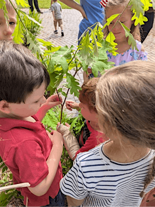 Garden Sprouts Series, Fall 2025, 2 September | Event in Clemson | AllEvents