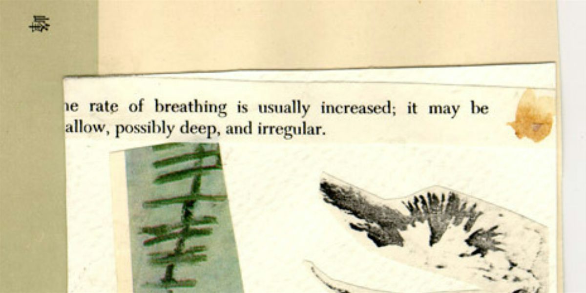 Collage and Thinking: A Writing Workshop with Dale Pesmen, 16 August | Event in Chicago | AllEvents