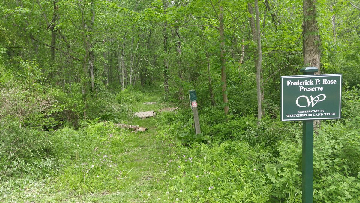 Forest in Flux: Guided Walk and Talk, 13 September | Event in Waccabuc | AllEvents