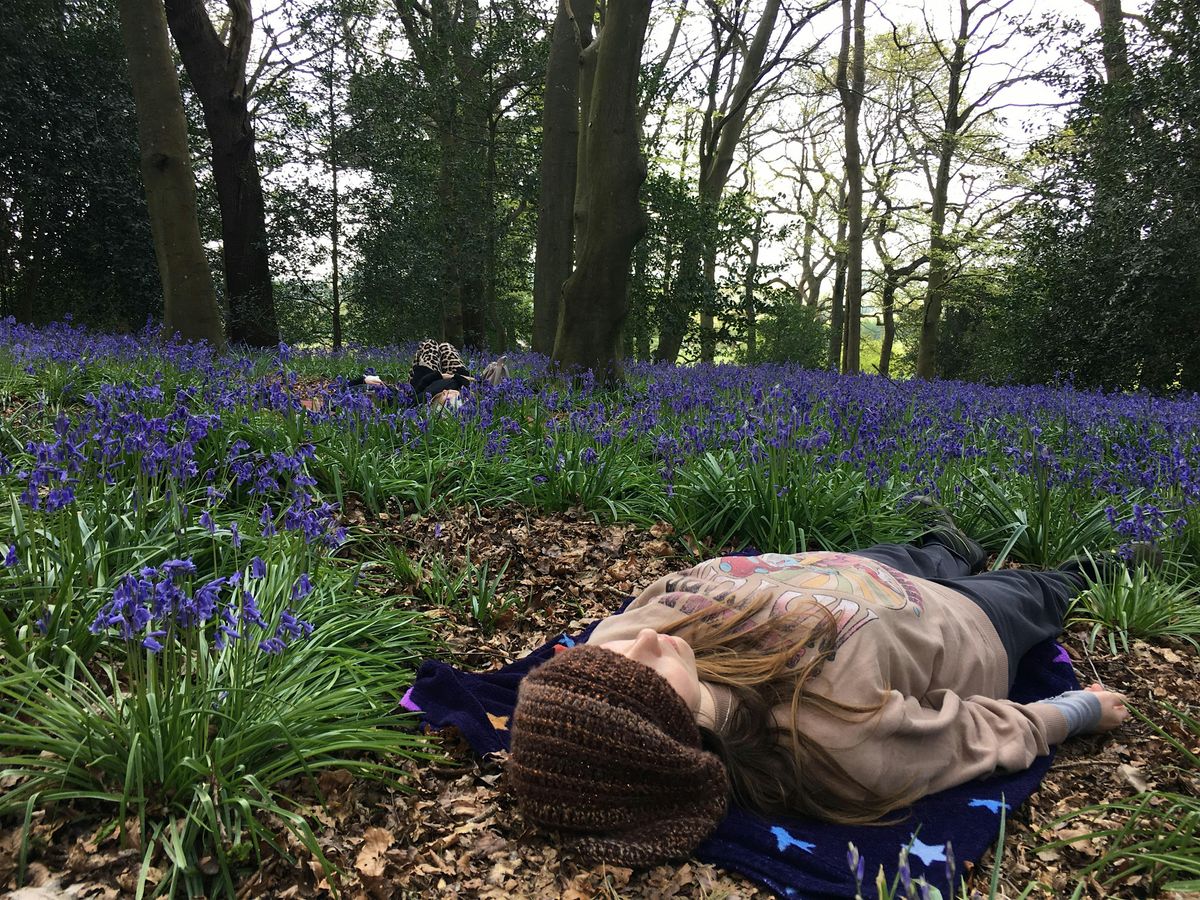 Reconnect with Nature: A Forest Bathing Experience | Event in Guildford | AllEvents