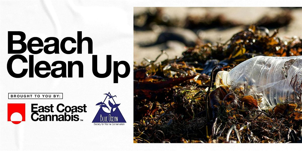 East Coast Cannabis Beach Cleanup | Event in Eliot | AllEvents