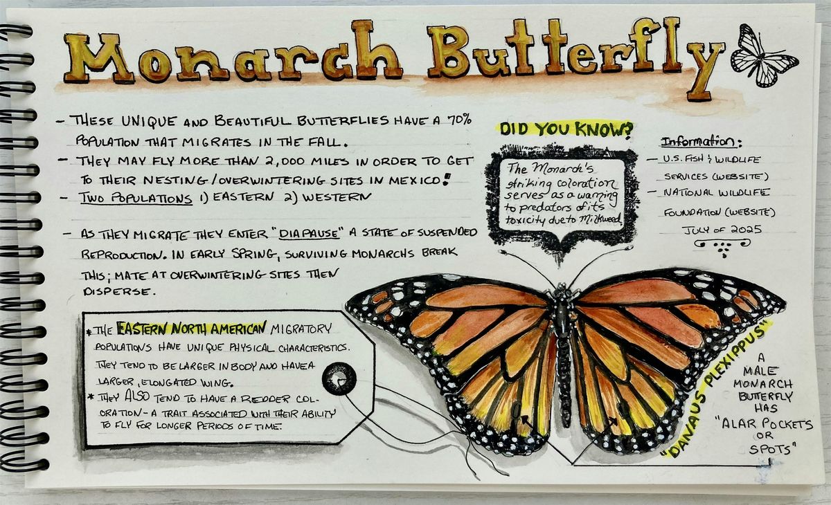 Watercolor Monarch Nature Journal Page, 6 September | Event in Canal Fulton | AllEvents