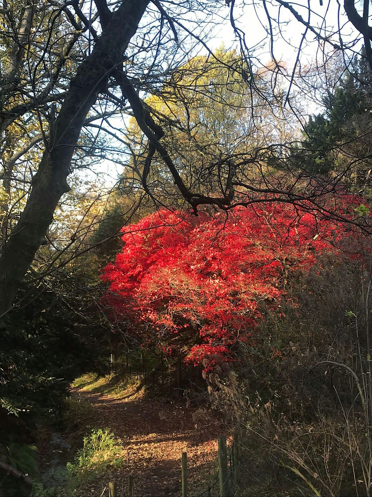 Taking time to explore, play and connect through nature, 23 November | Event in Edinburgh | AllEvents