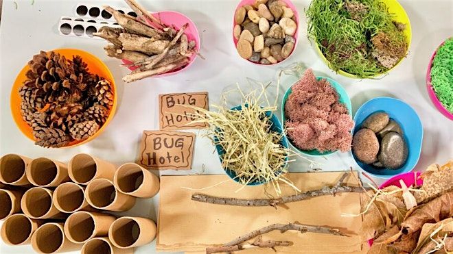 Kids Workshop: Build a Bug Hotel!, 30 July | Event in Eastlake | AllEvents