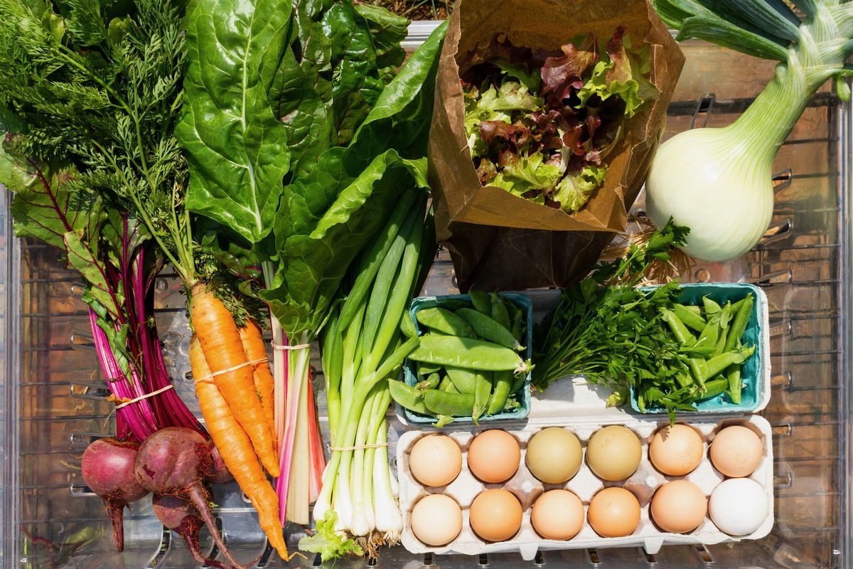 Morven Kitchen Garden CSA share, 14 May | Event in Charlottesville | AllEvents