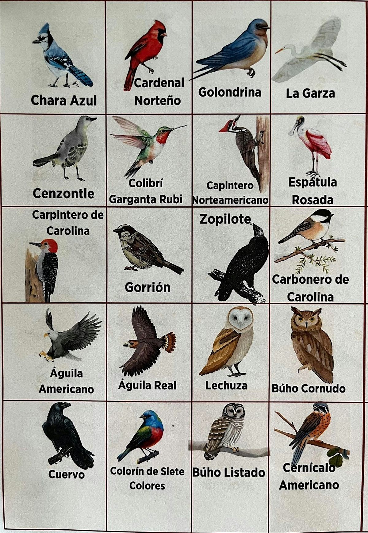 Bird Loteria, 20 September | Event in Cedar Hill | AllEvents