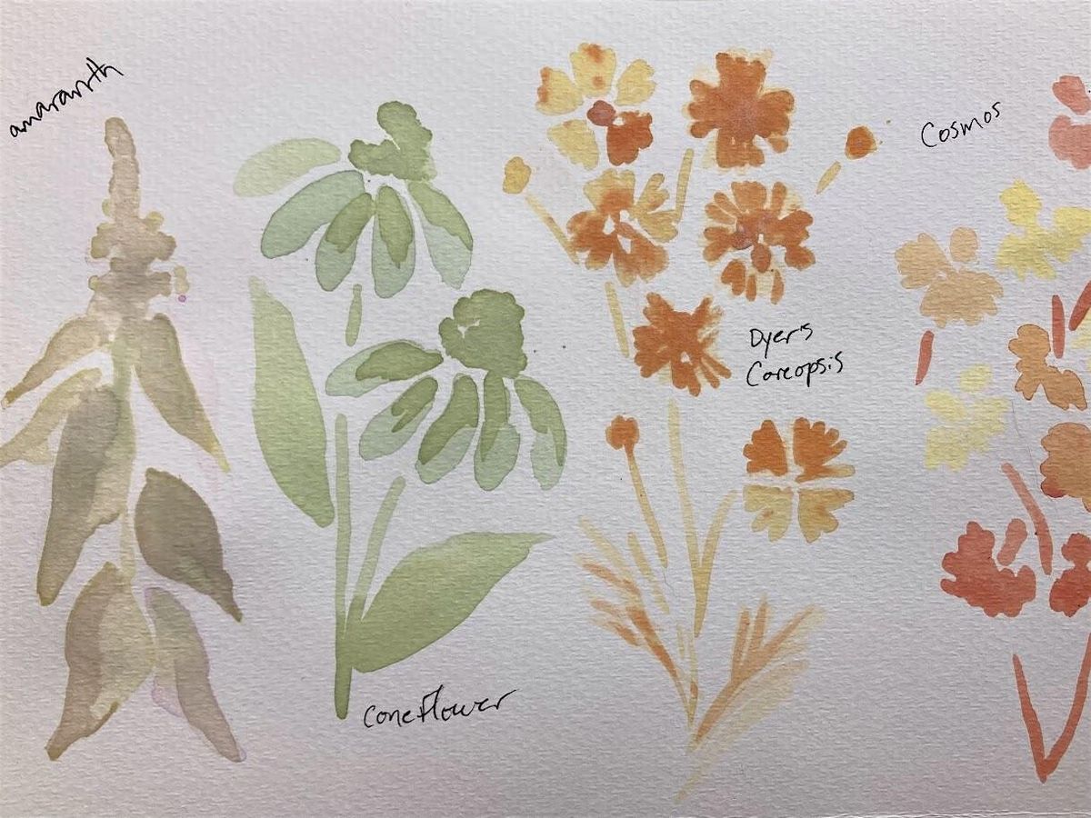 Painting With Plants: Making and Painting with Watercolors from the Garden, 3 September | Event in Pittsburgh