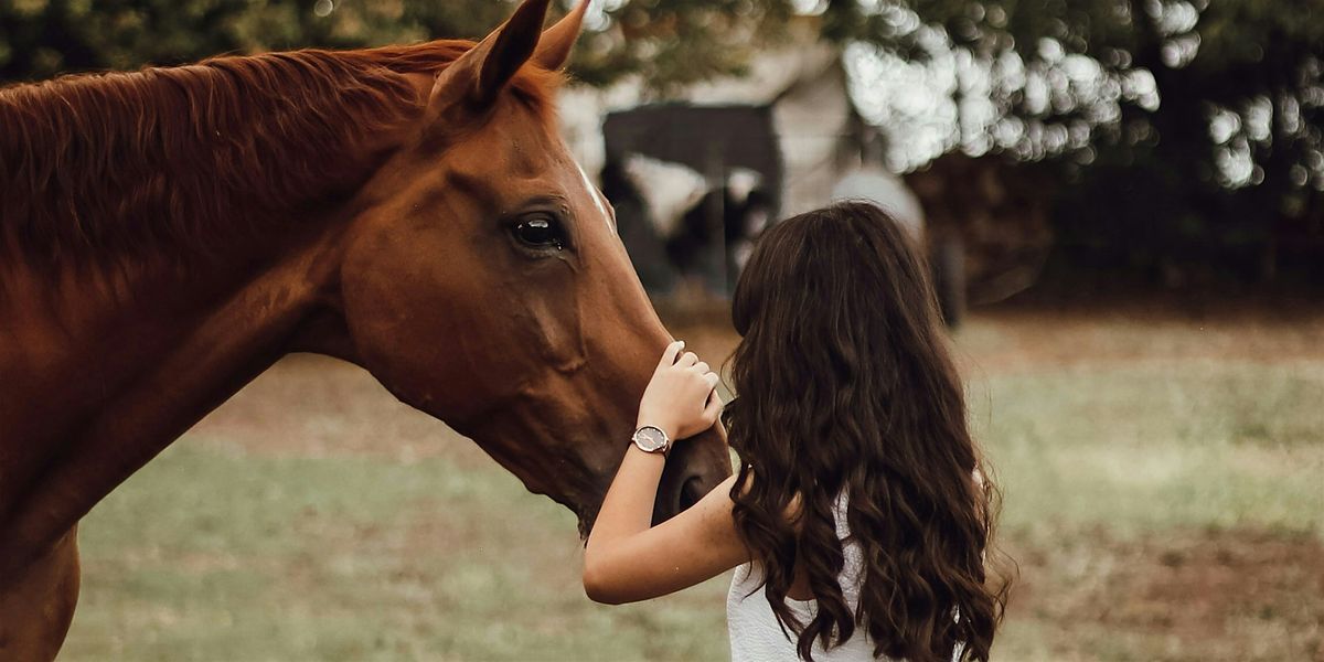 Resiliency Wranglers Introduction - (Series 6), 23 April | Event in Kaysville | AllEvents